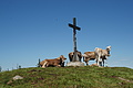 0384-DSC04755 - Bernhard Saalfeld