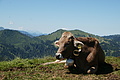 0385-DSC04756 - Bernhard Saalfeld