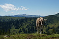 0387-DSC04758 - Bernhard Saalfeld