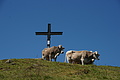 0389-DSC04760 - Bernhard Saalfeld