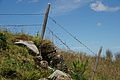0393-DSC04764 - Bernhard Saalfeld