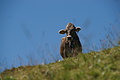 0396-DSC04767 - Bernhard Saalfeld