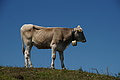 0398-DSC04769 - Bernhard Saalfeld