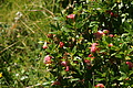 0401-DSC04772 - Bernhard Saalfeld