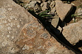 0403-DSC04774 - Bernhard Saalfeld
