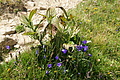 0404-DSC04775 - Bernhard Saalfeld