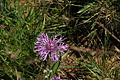 0405-DSC04776 - Bernhard Saalfeld