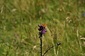 0409-DSC04780 - Bernhard Saalfeld