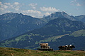 0411-DSC04782 - Bernhard Saalfeld