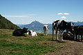 0412-DSC04783 - Bernhard Saalfeld