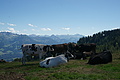 0414-DSC04785 - Bernhard Saalfeld