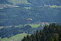 0415-DSC04786 - Bernhard Saalfeld