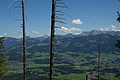 0424-DSC04795 - Bernhard Saalfeld
