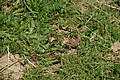 0432-DSC04803 - Bernhard Saalfeld