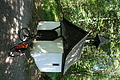 0451-DSC04824 - Bernhard Saalfeld