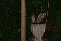 0457-DSC04830 - Bernhard Saalfeld