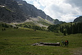 0488-DSC04862 - Bernhard Saalfeld