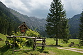 0517-DSC04891 - Bernhard Saalfeld