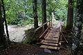 0523-DSC03607 - Bernhard Saalfeld