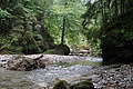 0526-DSC03610 - Bernhard Saalfeld