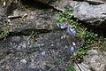 0529-DSC03613 - Bernhard Saalfeld