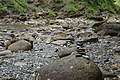 0531-DSC03615 - Bernhard Saalfeld
