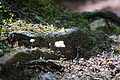 0534-DSC03618 - Bernhard Saalfeld