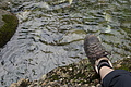 0542-DSC03626 - Bernhard Saalfeld