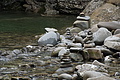 0544-DSC03628 - Bernhard Saalfeld