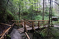 0547-DSC03631 - Bernhard Saalfeld