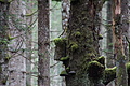0548-DSC03632 - Bernhard Saalfeld