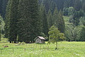 0551-DSC03635 - Bernhard Saalfeld