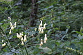 0556-DSC03640 - Bernhard Saalfeld