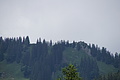 0559-DSC03643 - Bernhard Saalfeld