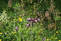 0568-DSC03652 - Bernhard Saalfeld