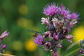 0569-DSC03653 - Bernhard Saalfeld