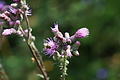 0572-DSC03656 - Bernhard Saalfeld