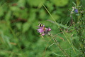 0575-DSC03659 - Bernhard Saalfeld
