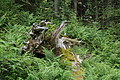 0576-DSC03660 - Bernhard Saalfeld