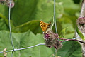 0577-DSC03661 - Bernhard Saalfeld