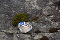 0580-DSC03664 - Bernhard Saalfeld