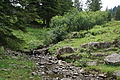 0581-DSC03665 - Bernhard Saalfeld