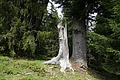0582-DSC03666 - Bernhard Saalfeld