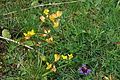 0585-DSC03669 - Bernhard Saalfeld