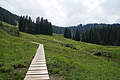 0589-DSC03673 - Bernhard Saalfeld