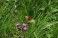 0590-DSC03674 - Bernhard Saalfeld