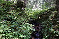 0591-DSC03675 - Bernhard Saalfeld