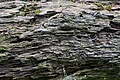 0592-DSC03676 - Bernhard Saalfeld