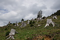 0594-DSC03678 - Bernhard Saalfeld