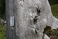 0596-DSC03680 - Bernhard Saalfeld